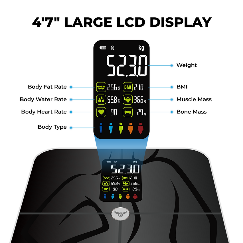 Osprey Smart Scale for Body Weight and Fat
